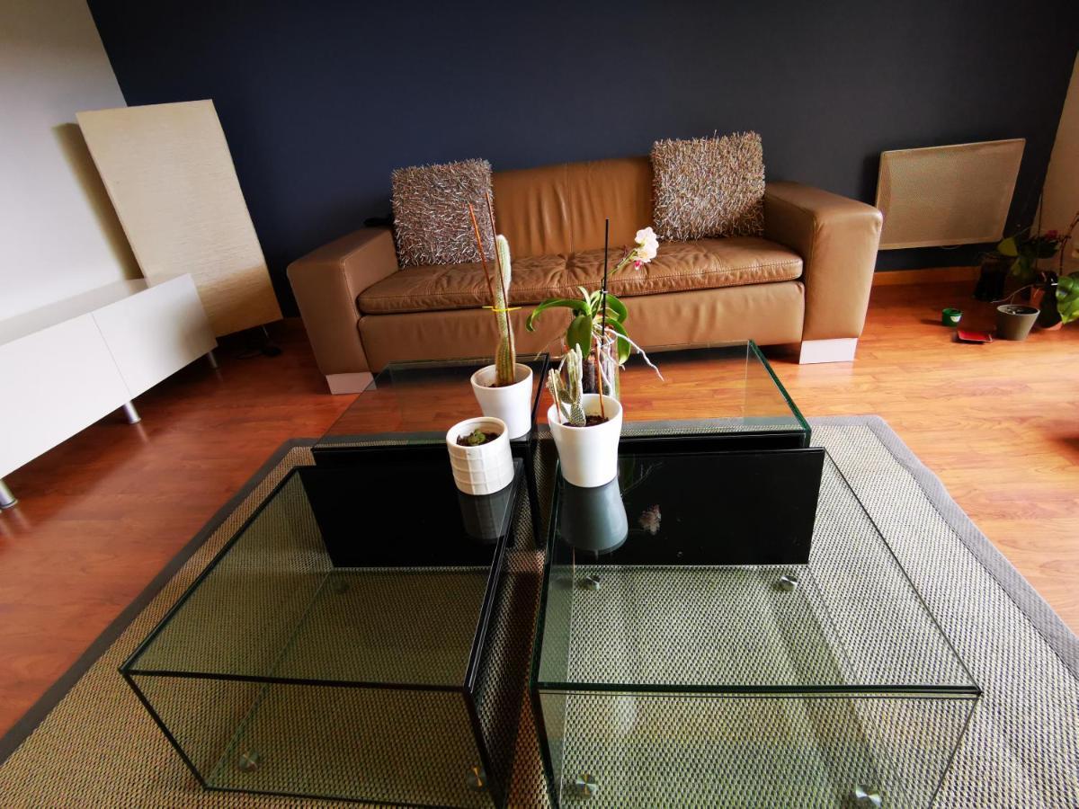 Le Grand Briochin Apartment Saint-Brieuc Ngoại thất bức ảnh
